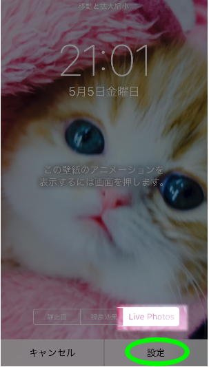 Iphoneカメラ Live Photos の動く写真を壁紙にする方法